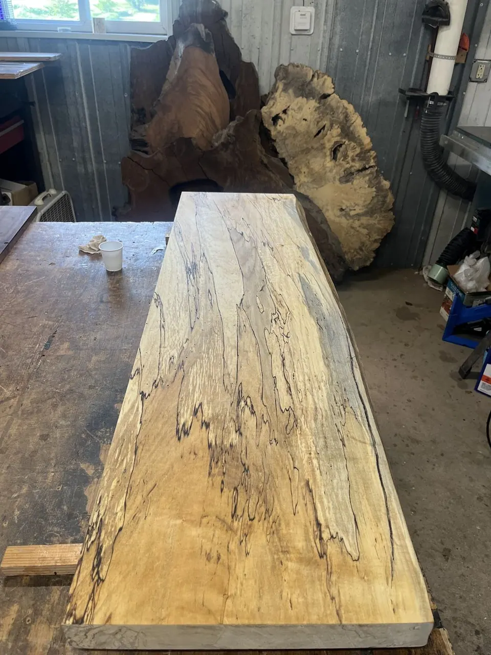 Spalted slab with dark natural lines on the workbench